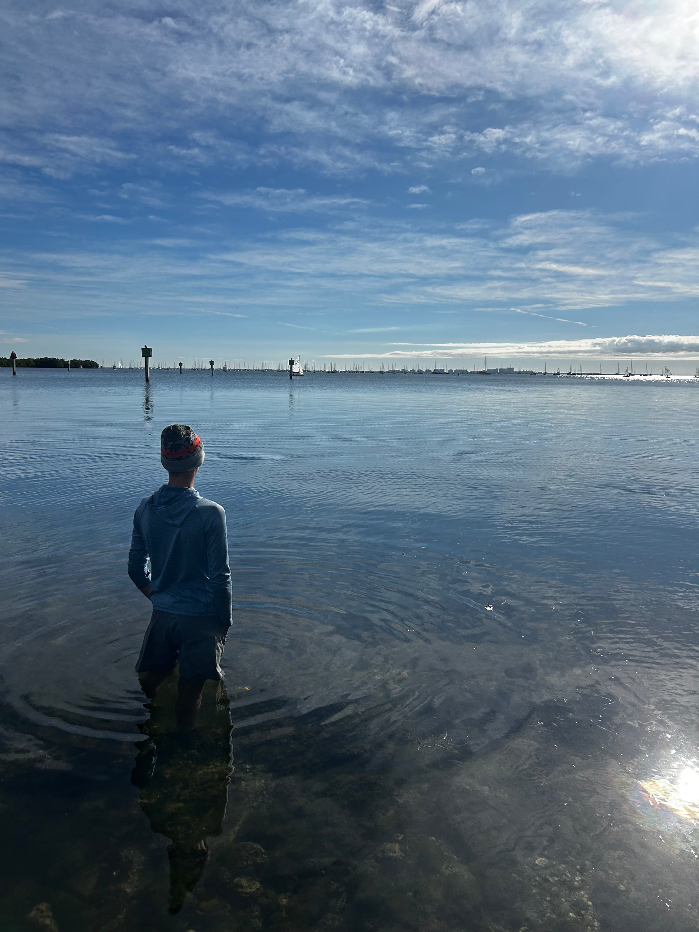 Wading the flats of Tampa Bay