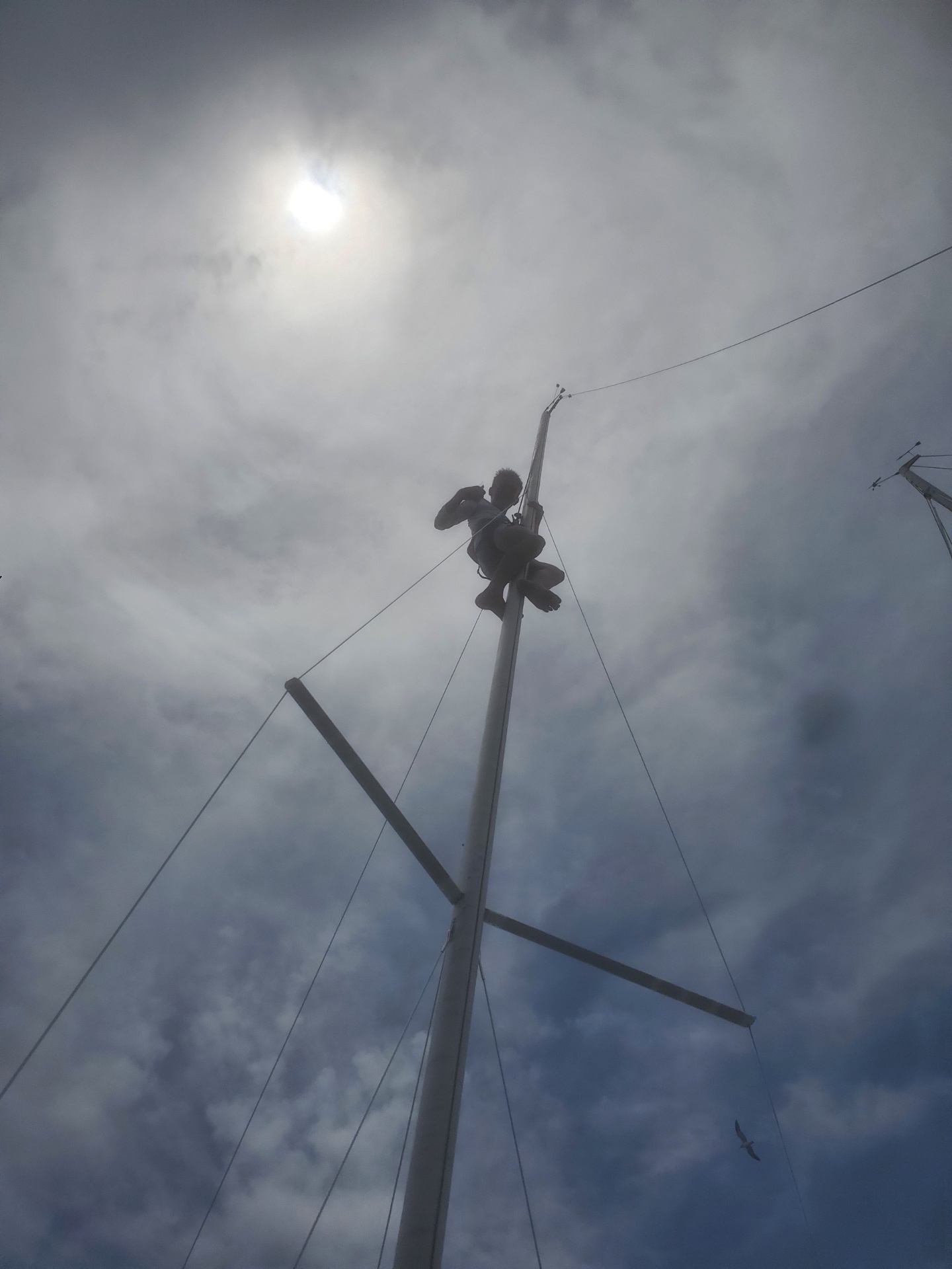 Up the mast under a hazy Florida sun