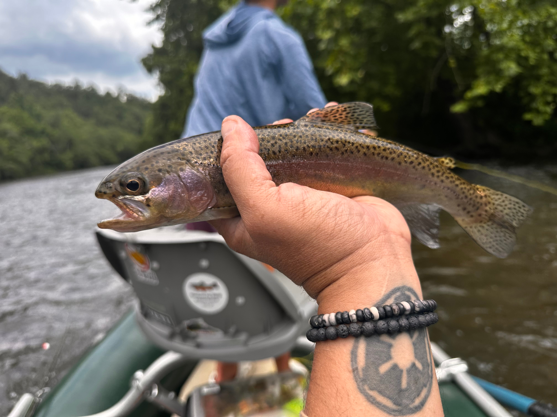 Rainbow trout caught on the river